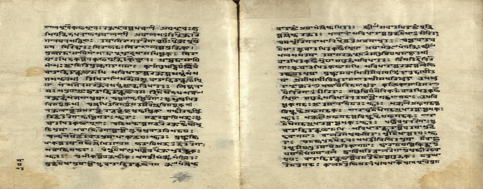 Cikitsāvarṇana (Śārṅgadhara), page 19