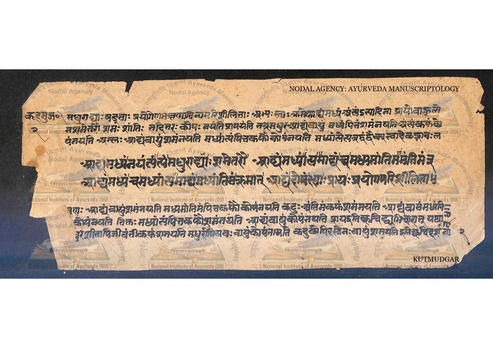 Kūṭamudgara (2), page 5