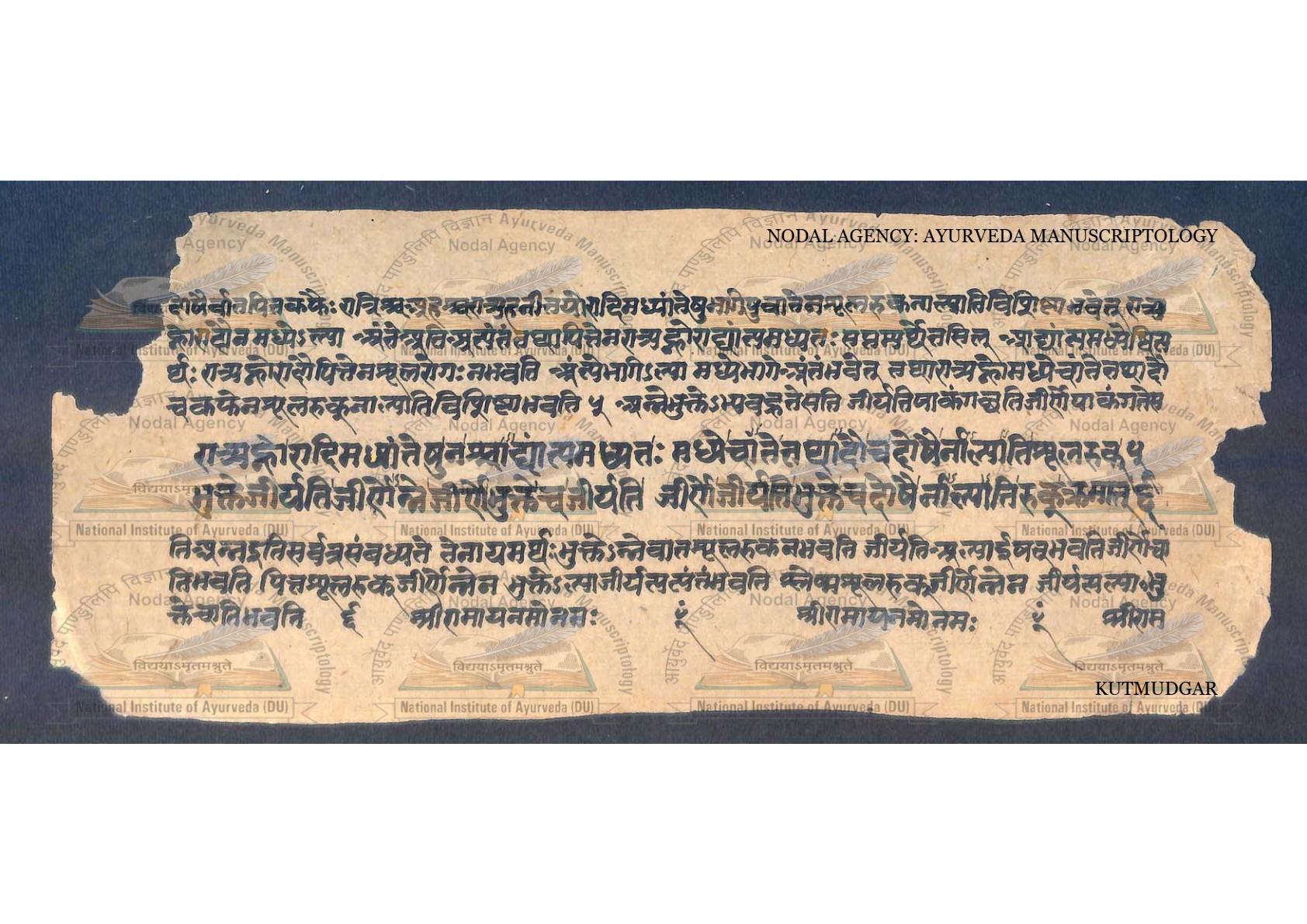 Kūṭamudgara (2), page 6
