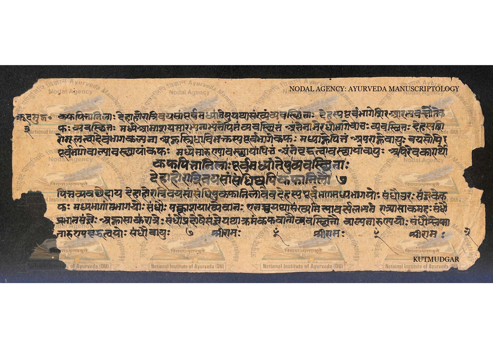 Kūṭamudgara (2), page 7
