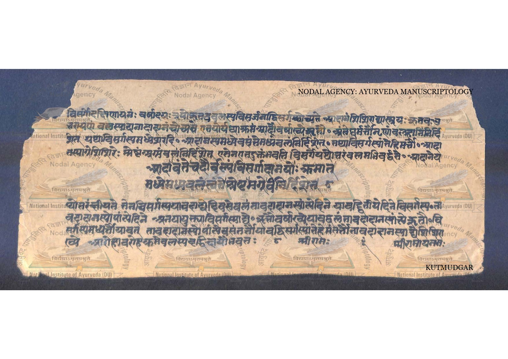 Kūṭamudgara (2), page 8