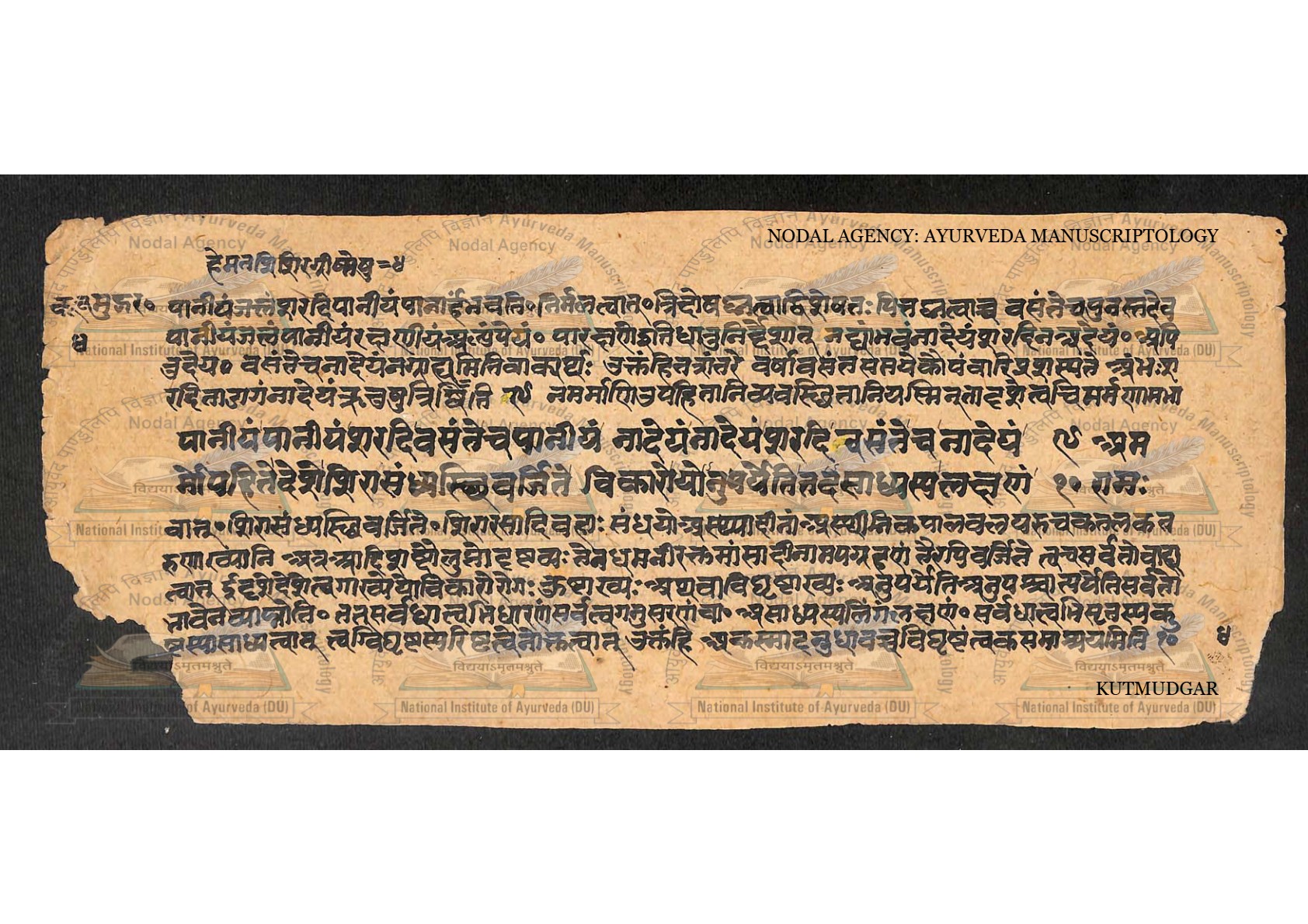 Kūṭamudgara (2), page 9