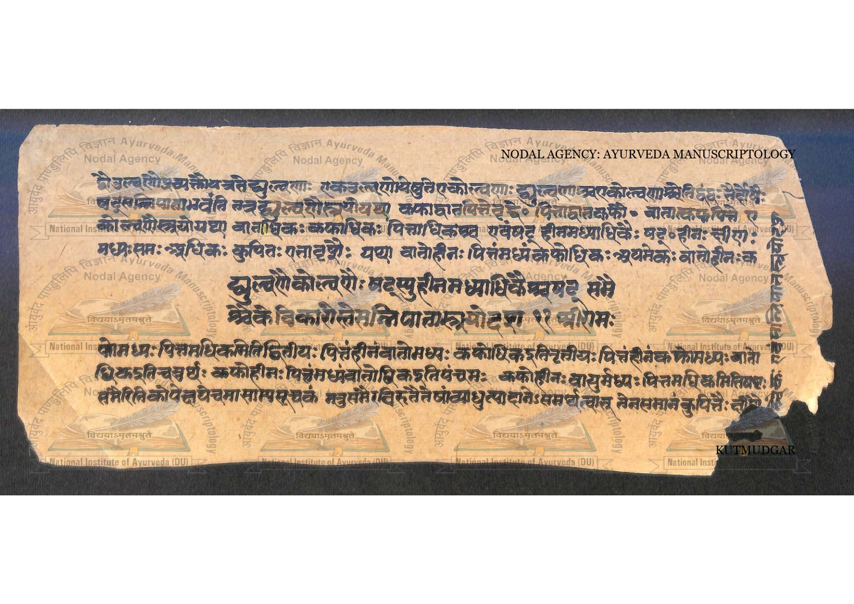Kūṭamudgara (2), page 10