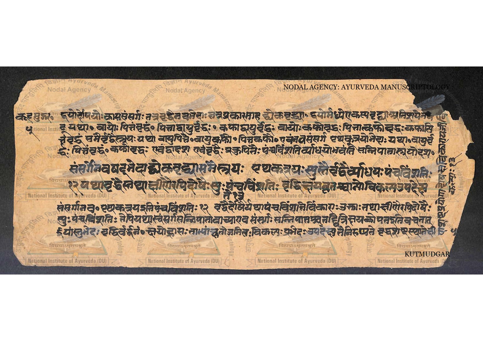 Kūṭamudgara (2), page 11