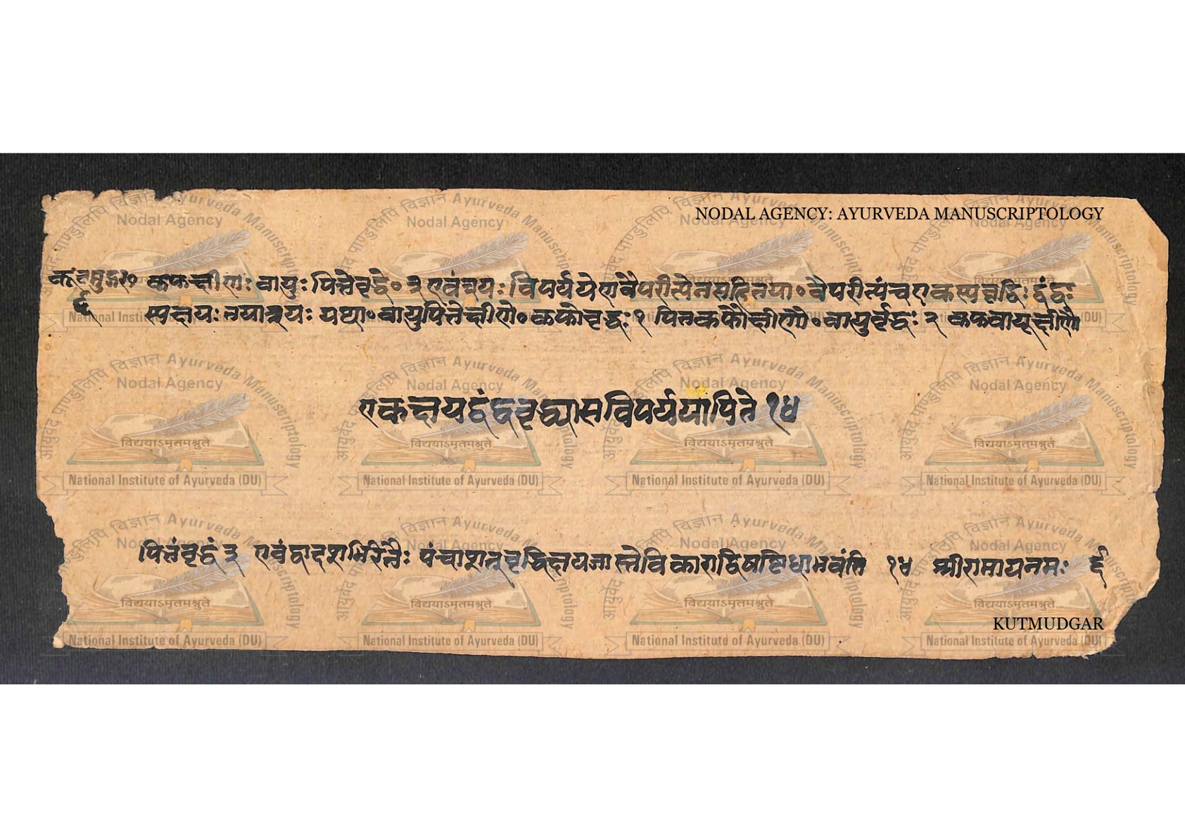 Kūṭamudgara (2), page 13