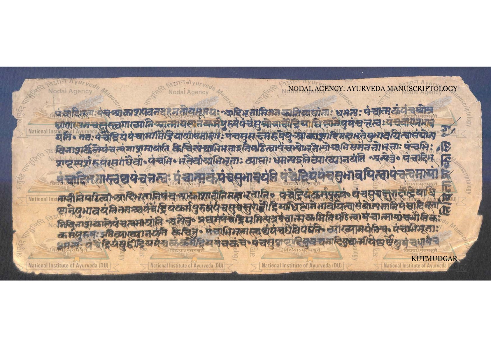 Kūṭamudgara (2), page 14