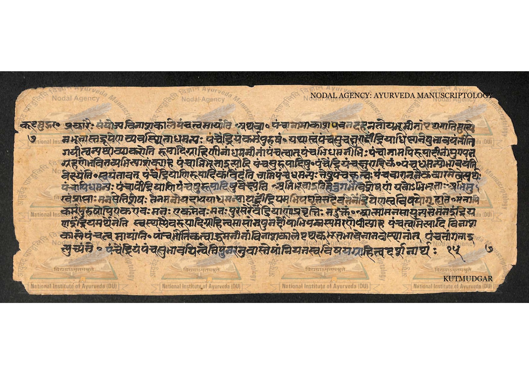 Kūṭamudgara (2), page 15