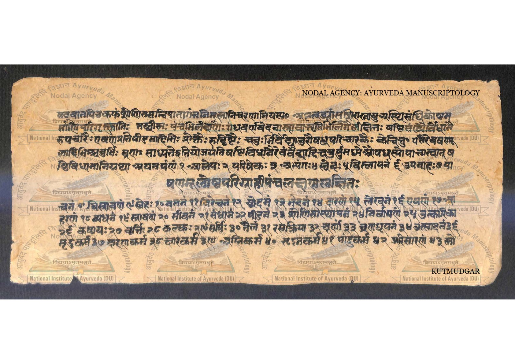 Kūṭamudgara (2), page 16