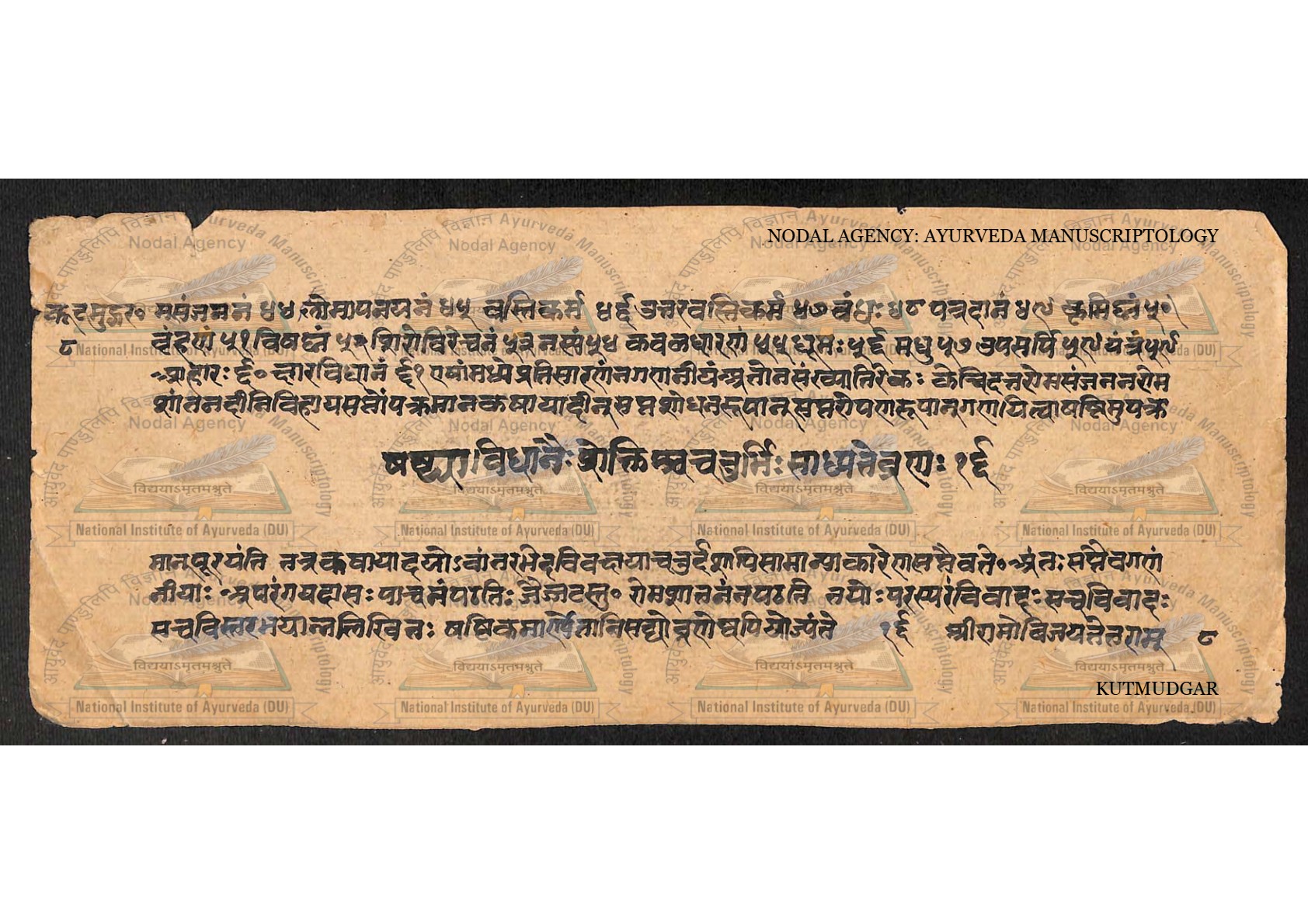 Kūṭamudgara (2), page 17