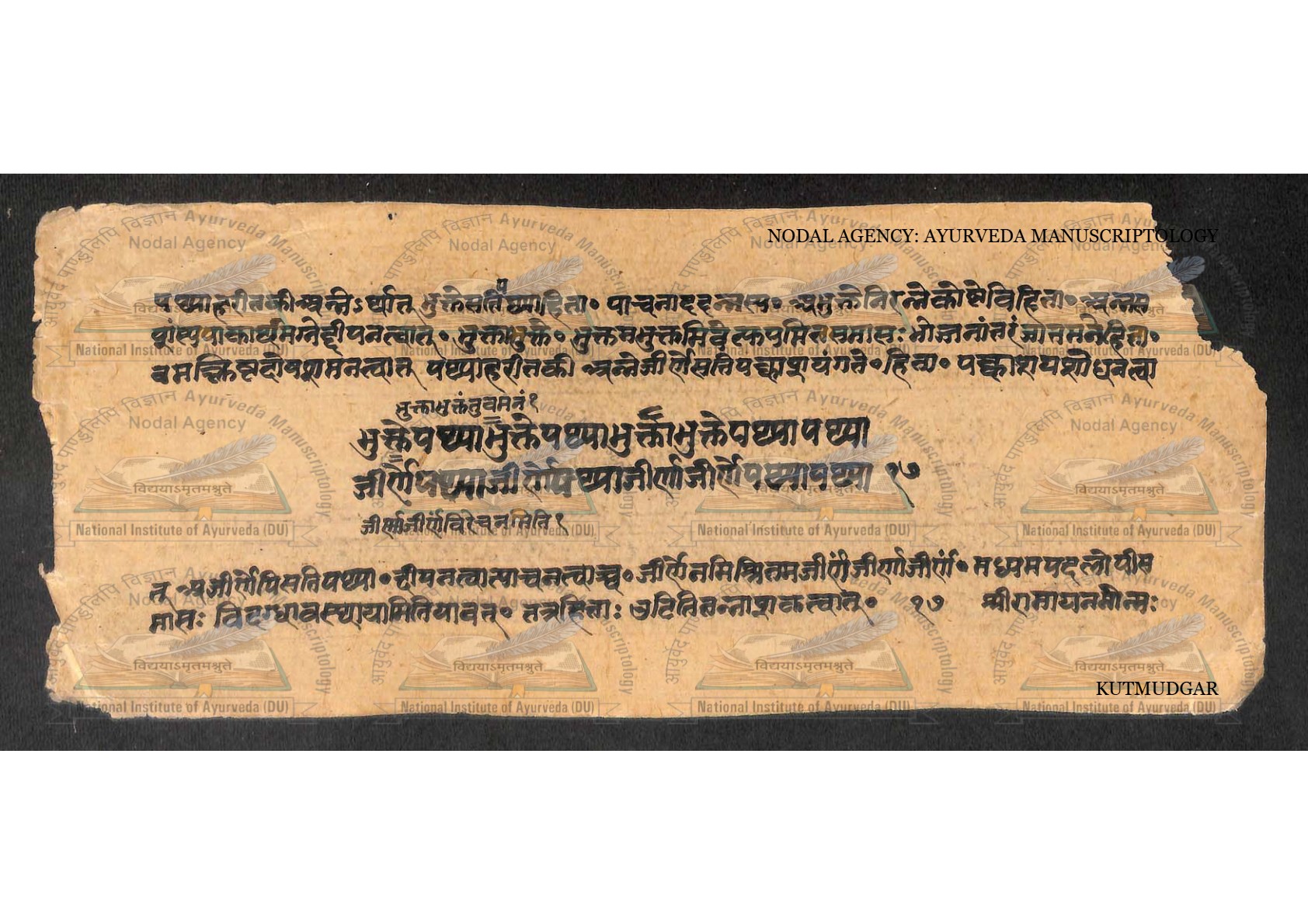 Kūṭamudgara (2), page 18