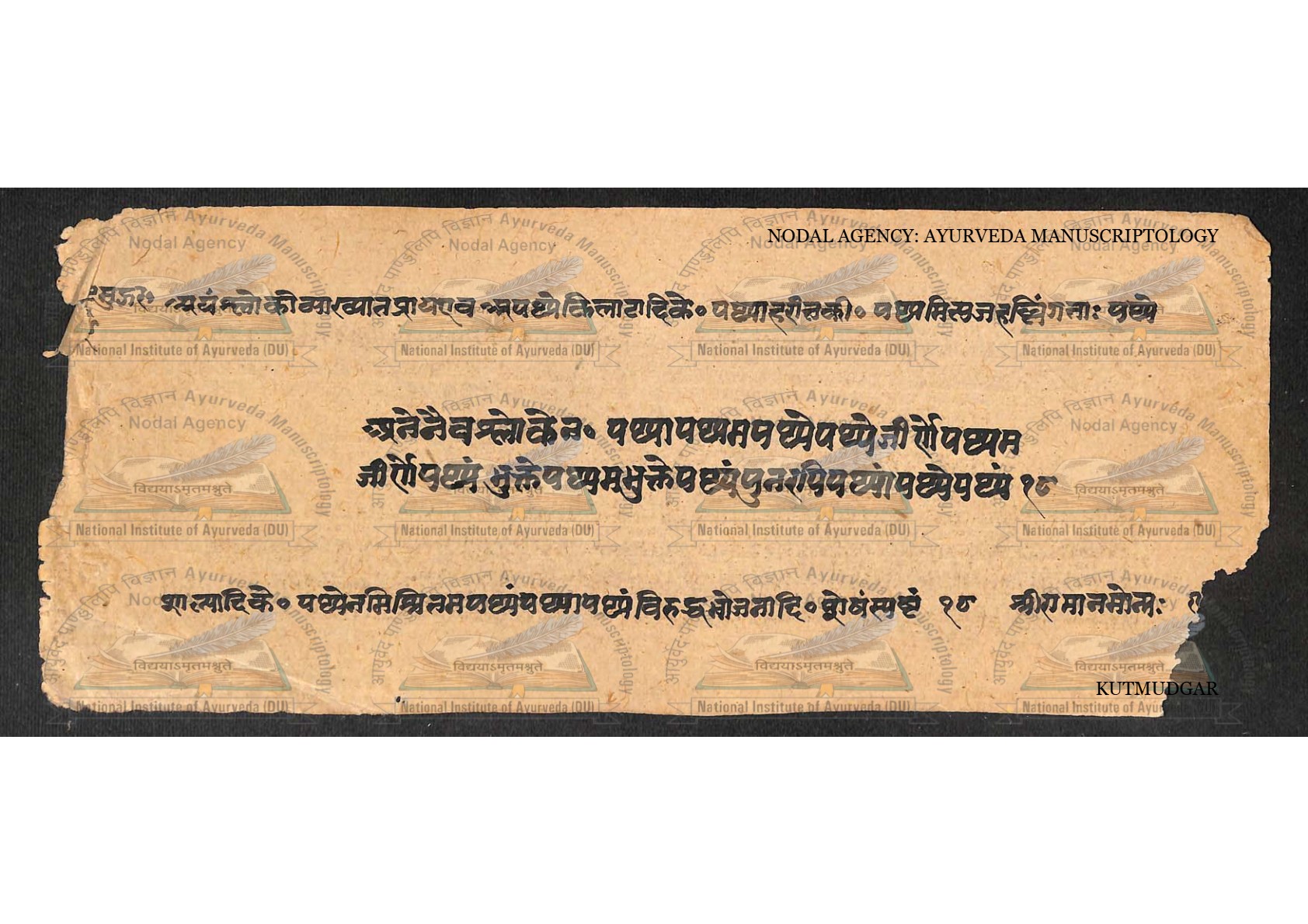 Kūṭamudgara (2), page 19