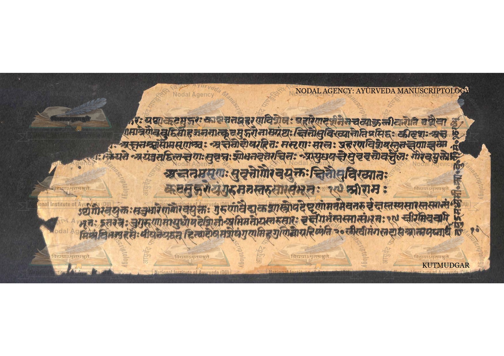 Kūṭamudgara (2), page 20