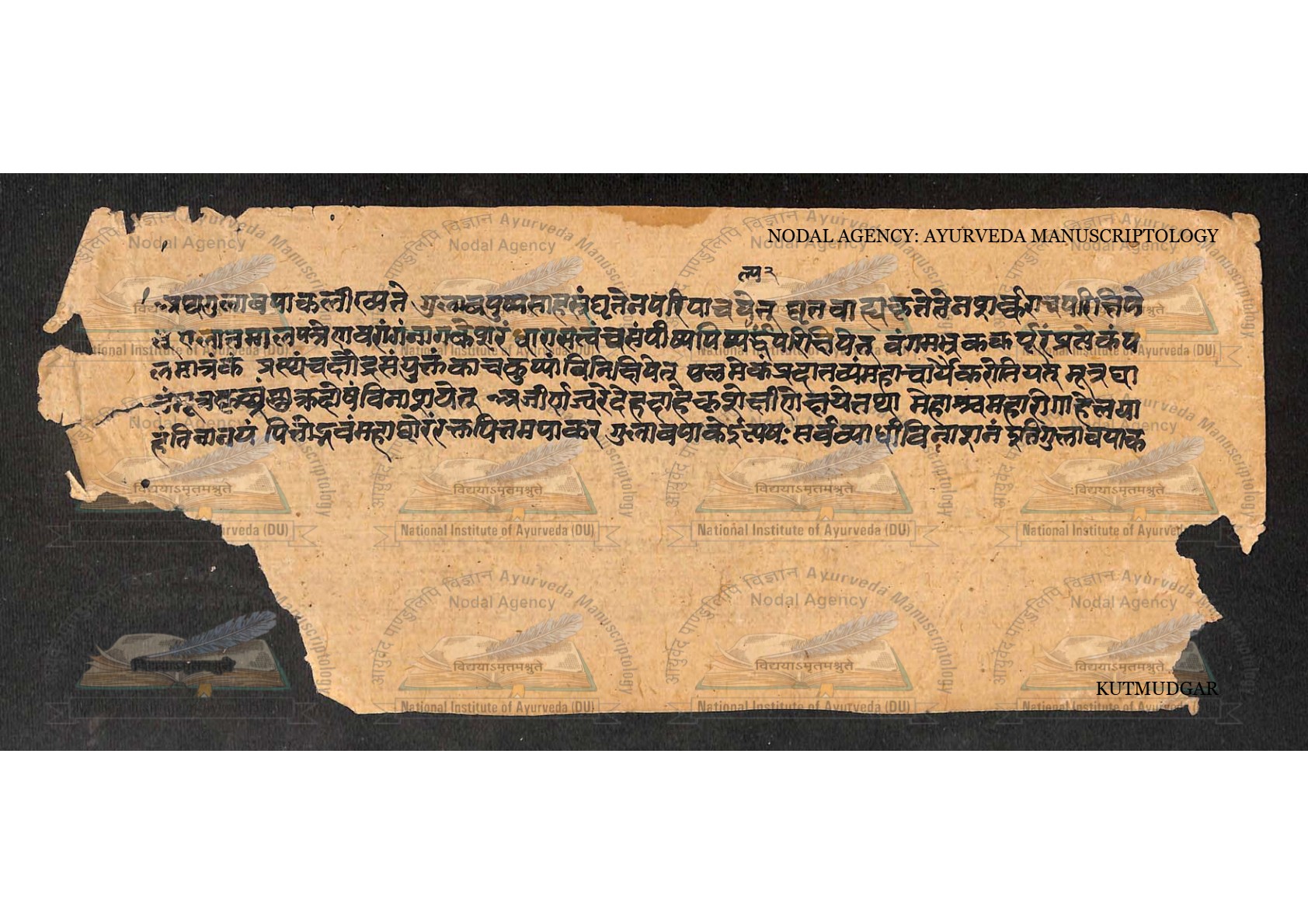Kūṭamudgara (2), page 21