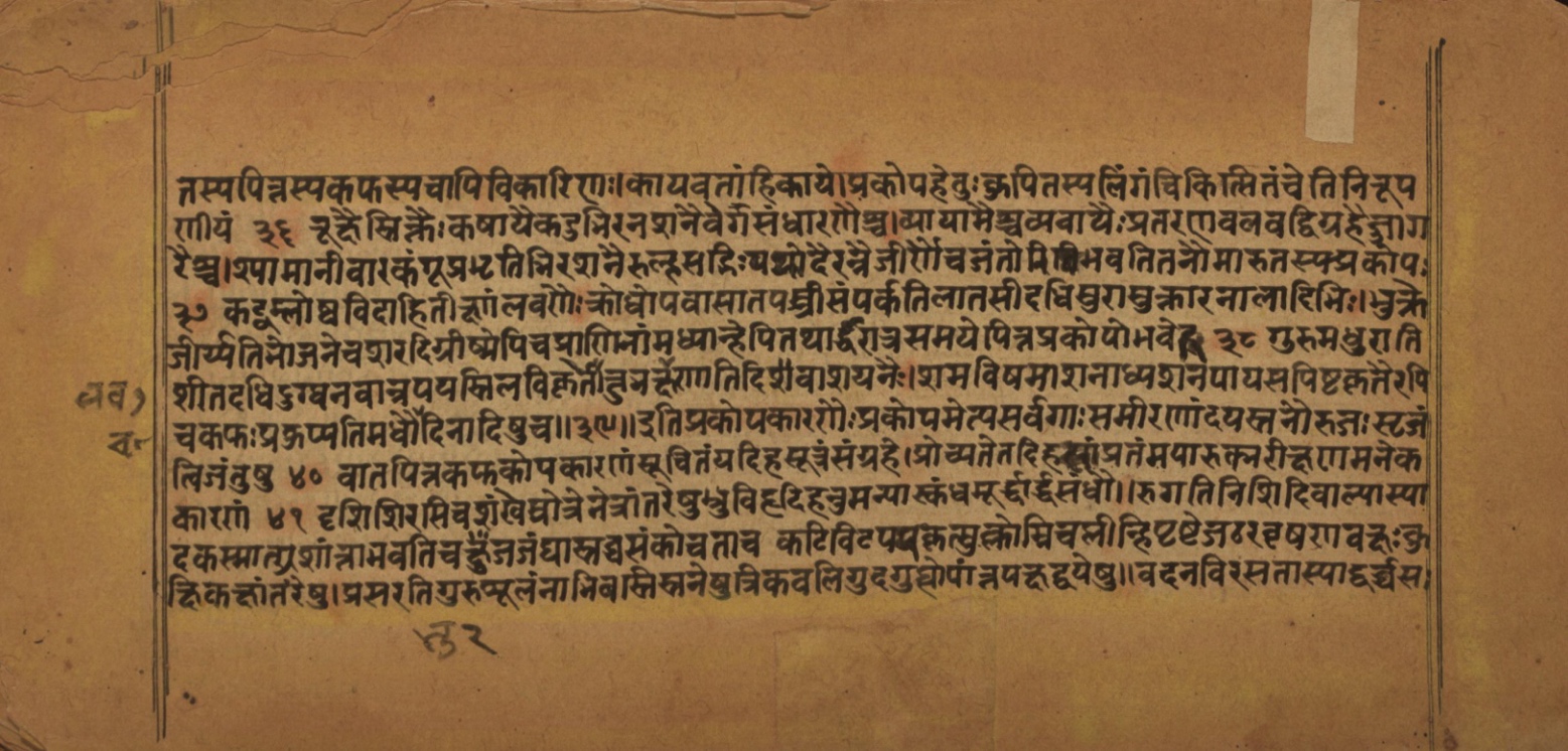Laghuyogataraṅgiṇī, page 6