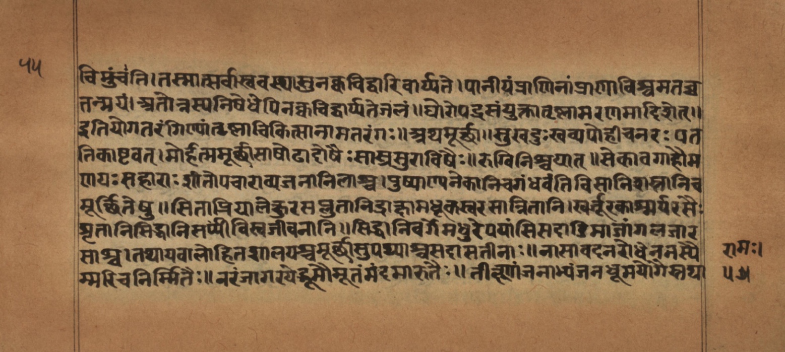Laghuyogataraṅgiṇī, page 111