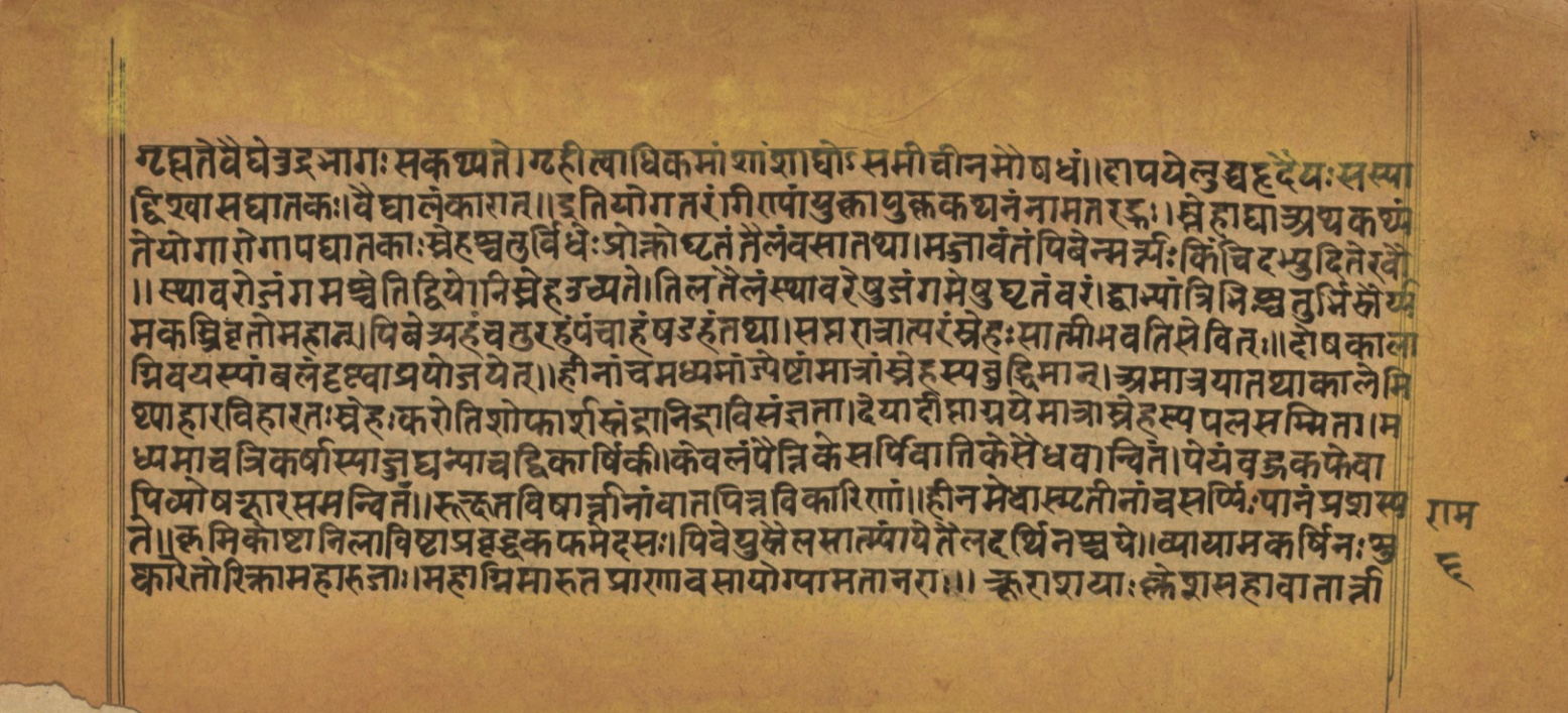 Laghuyogataraṅgiṇī, page 13