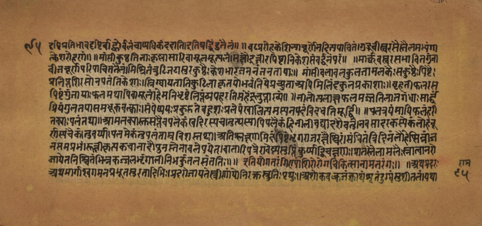 Laghuyogataraṅgiṇī, page 191