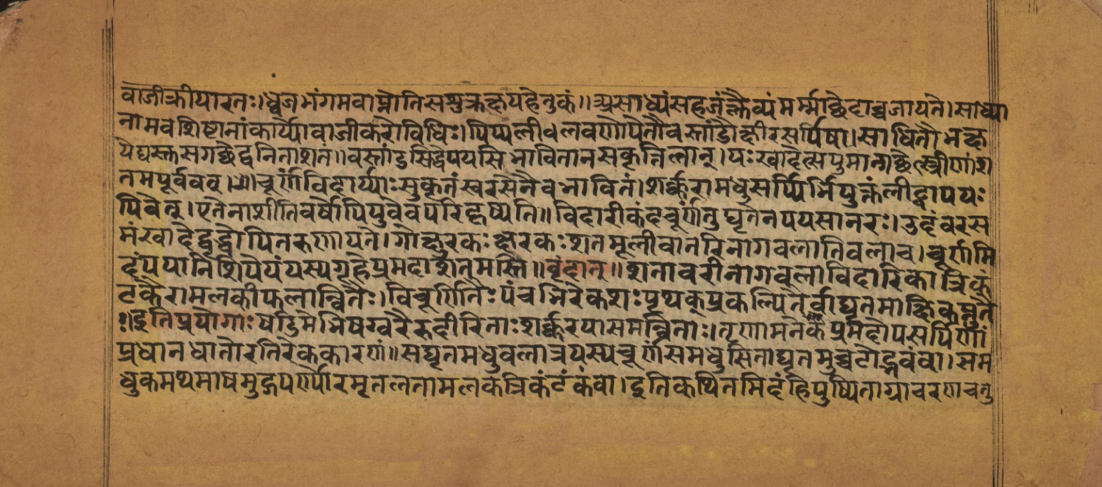 Laghuyogataraṅgiṇī, page 204