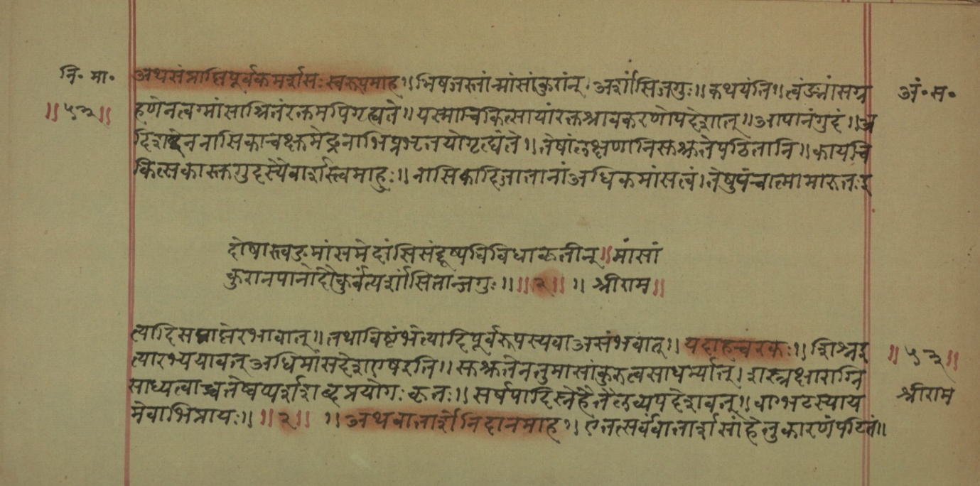 Mādhavanidāna (2), page 8