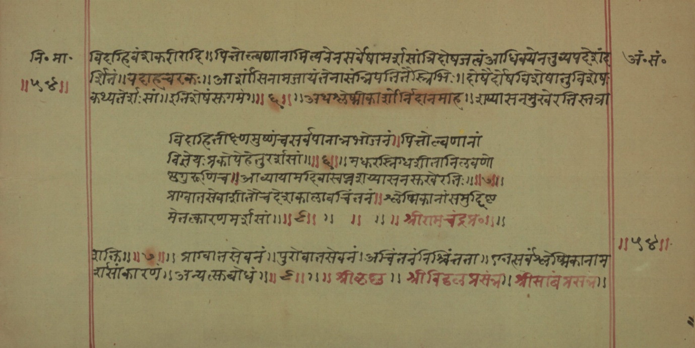 Mādhavanidāna (2), page 10