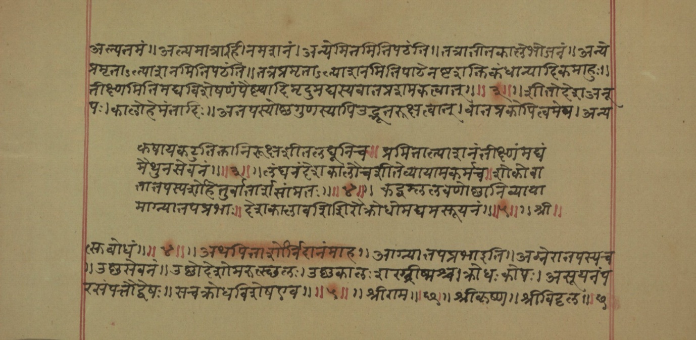 Mādhavanidāna (2), page 11