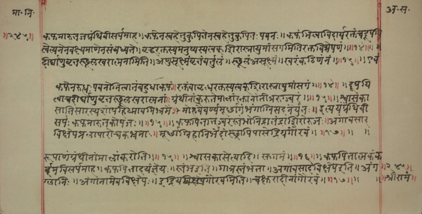 Mādhavanidāna (2), page 111
