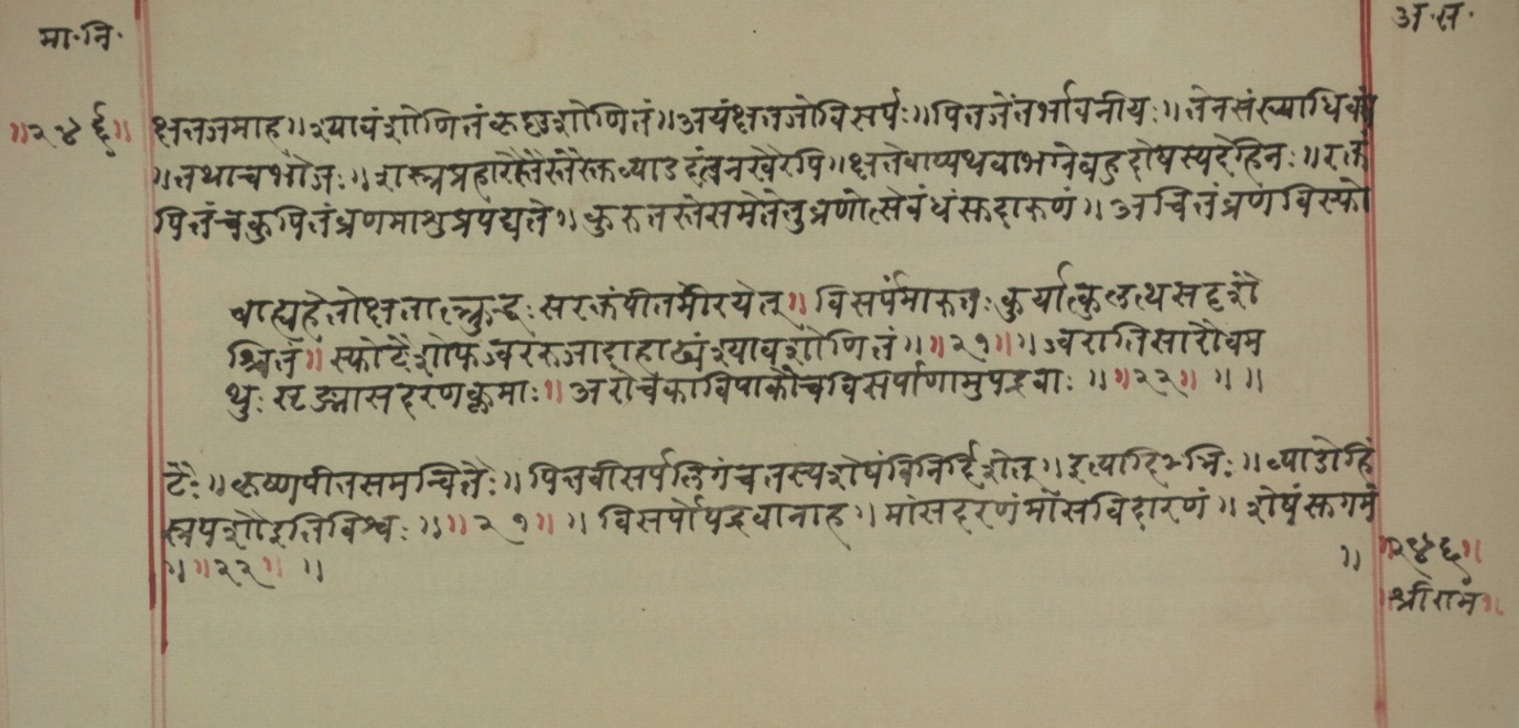 Mādhavanidāna (2), page 113