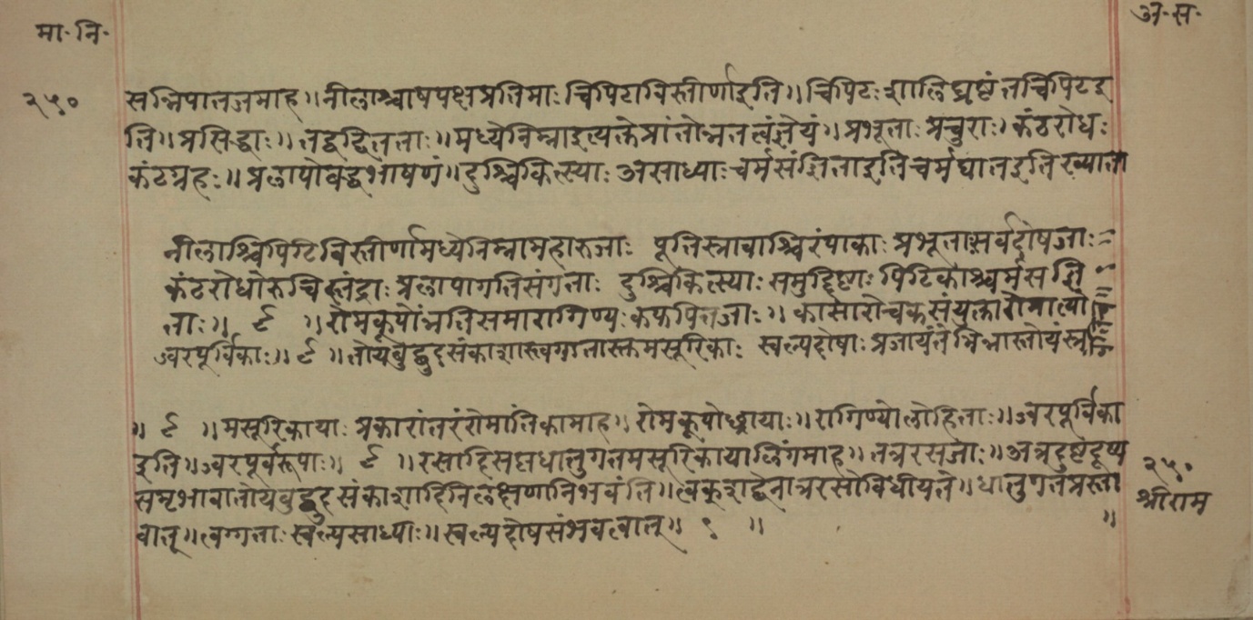 Mādhavanidāna (2), page 115
