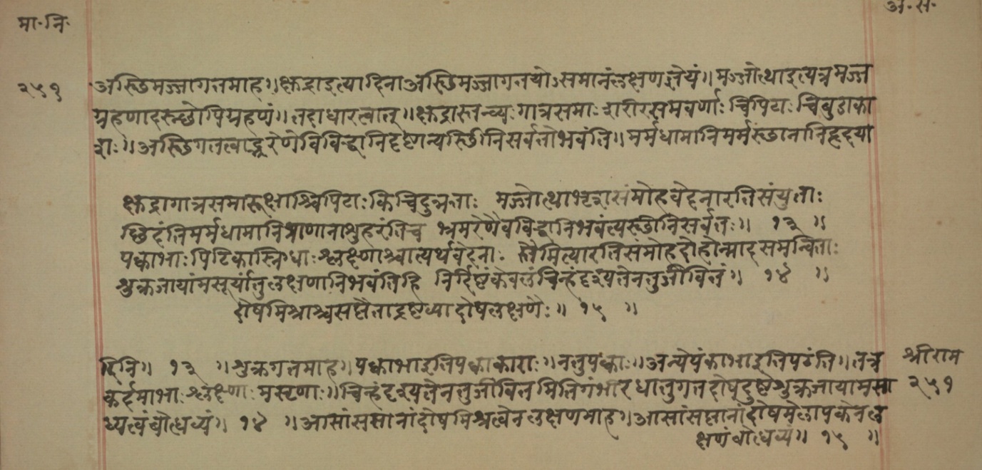 Mādhavanidāna (2), page 117