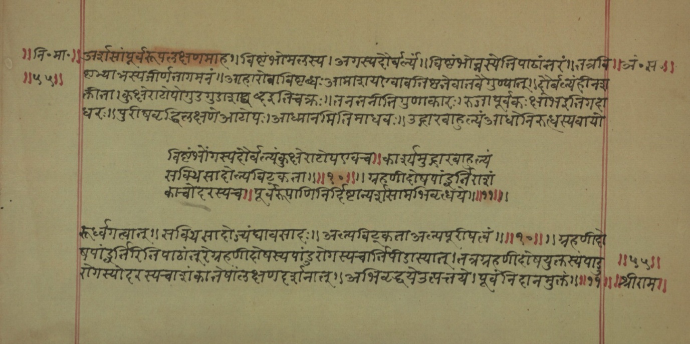 Mādhavanidāna (2), page 12