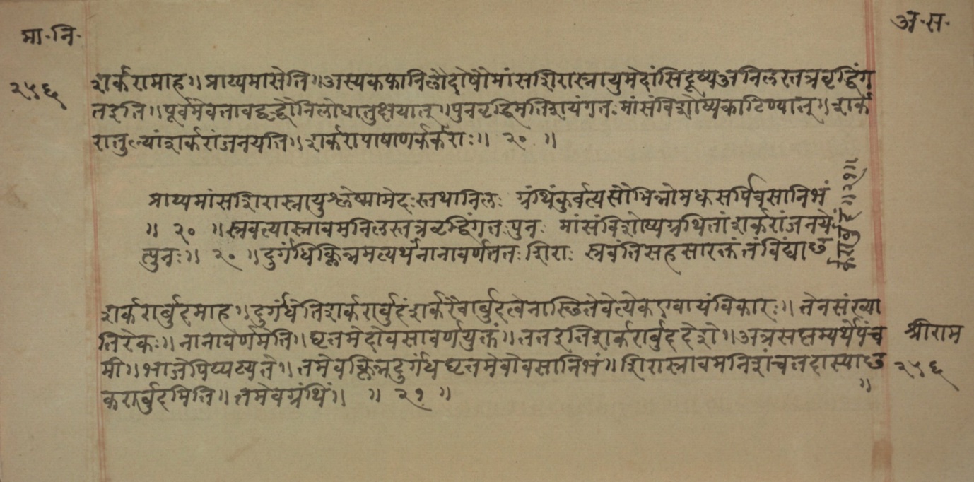 Mādhavanidāna (2), page 127