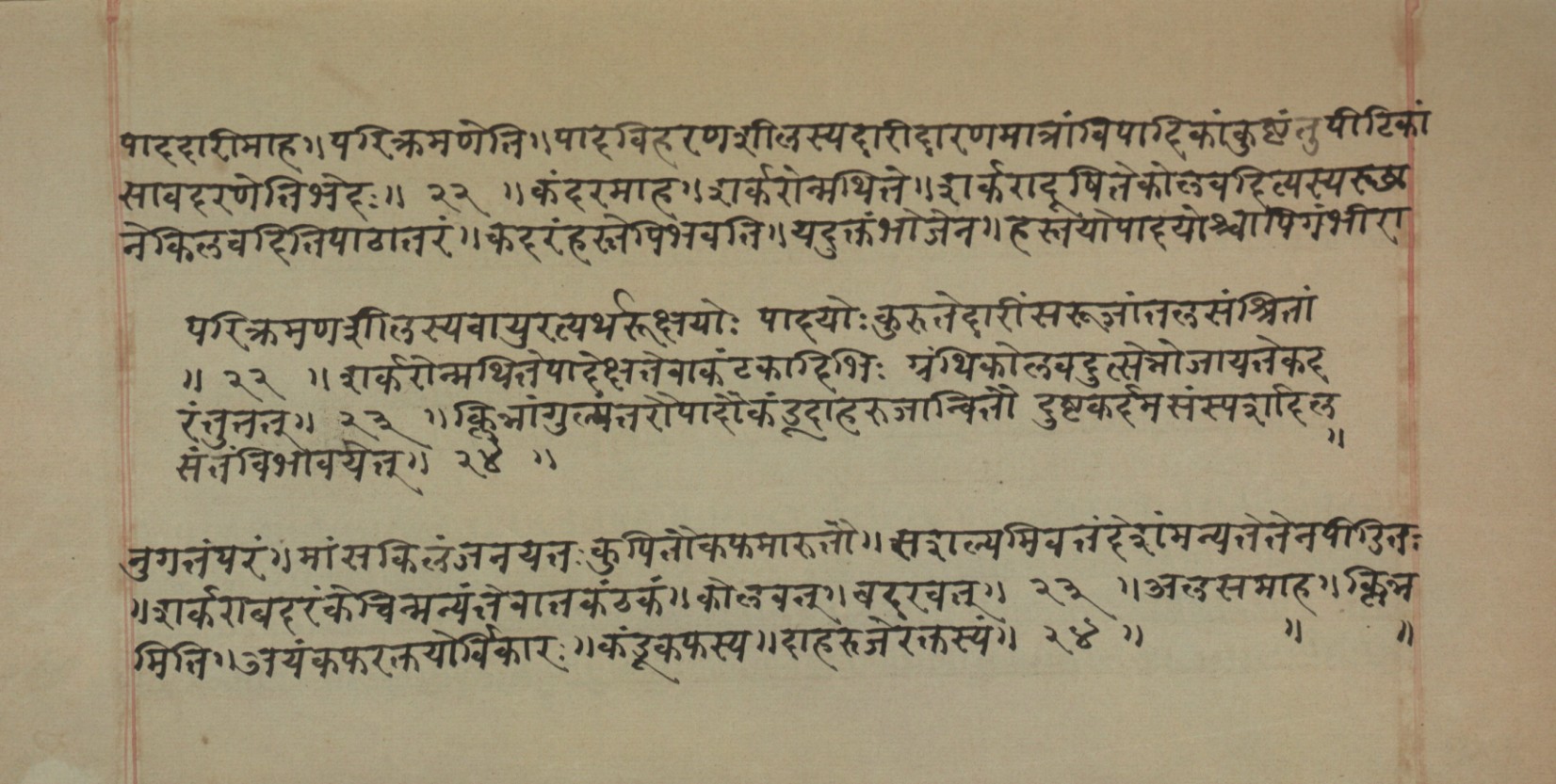 Mādhavanidāna (2), page 128