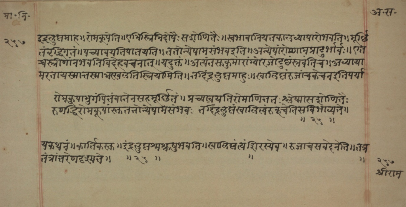 Mādhavanidāna (2), page 129