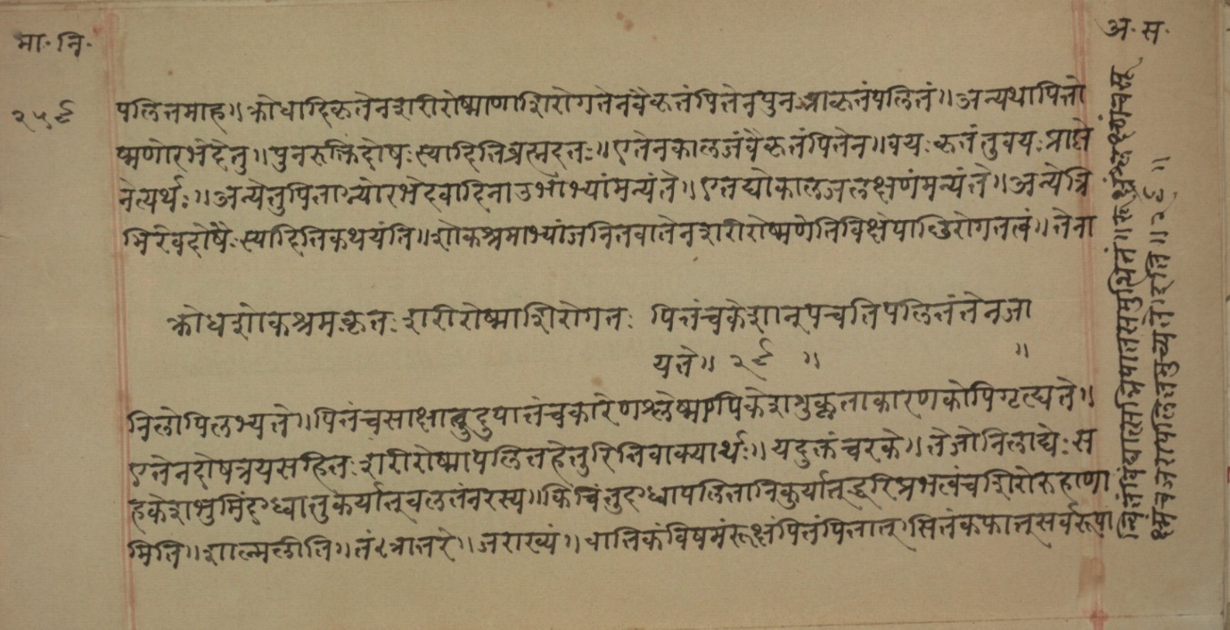 Mādhavanidāna (2), page 131