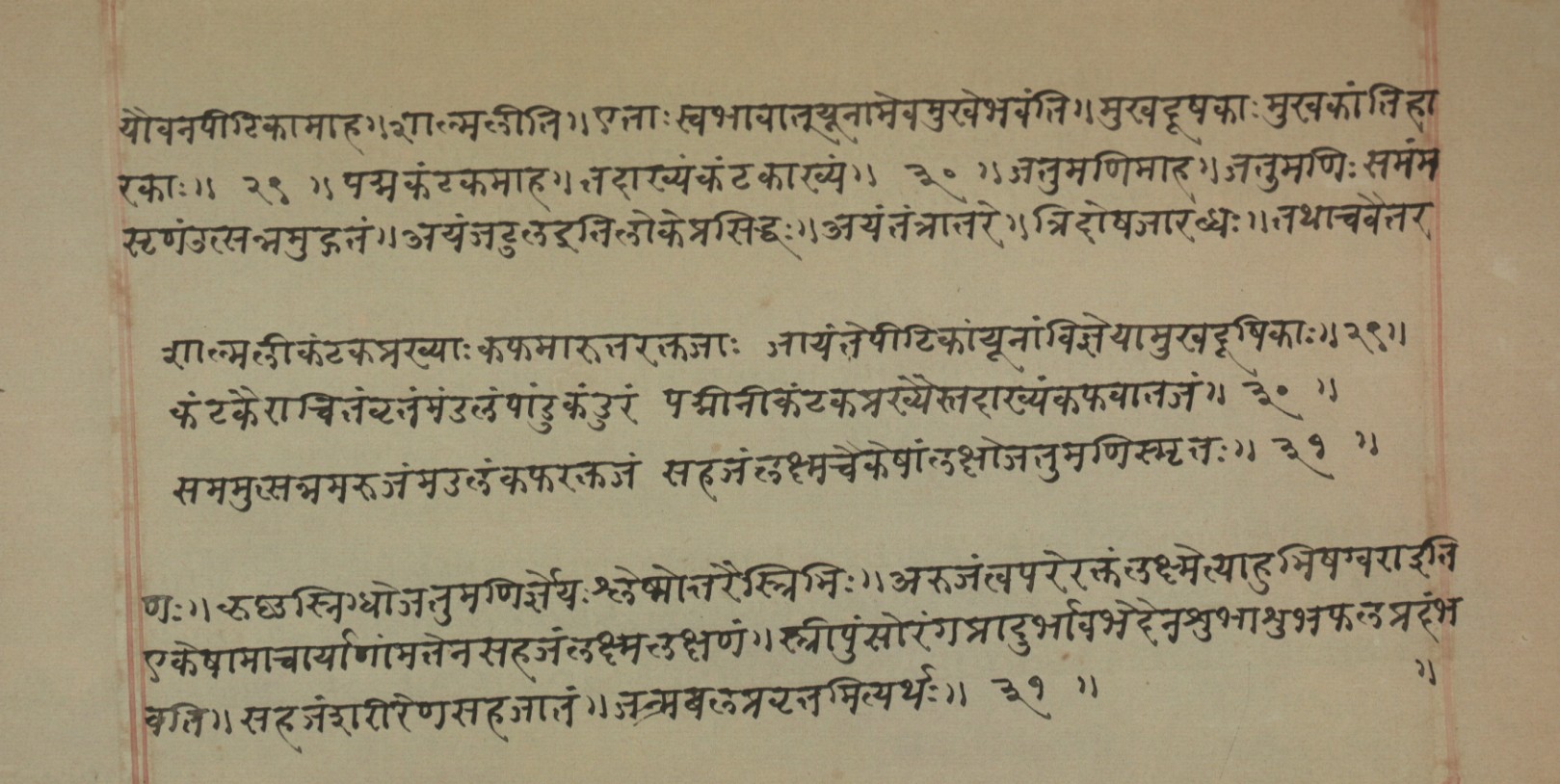 Mādhavanidāna (2), page 132