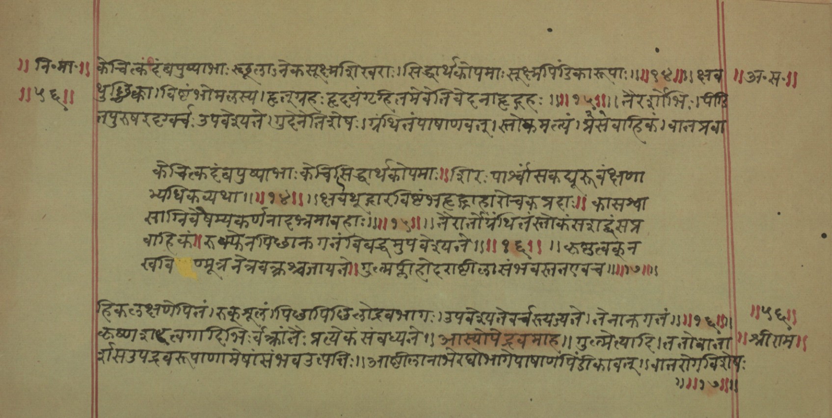 Mādhavanidāna (2), page 14