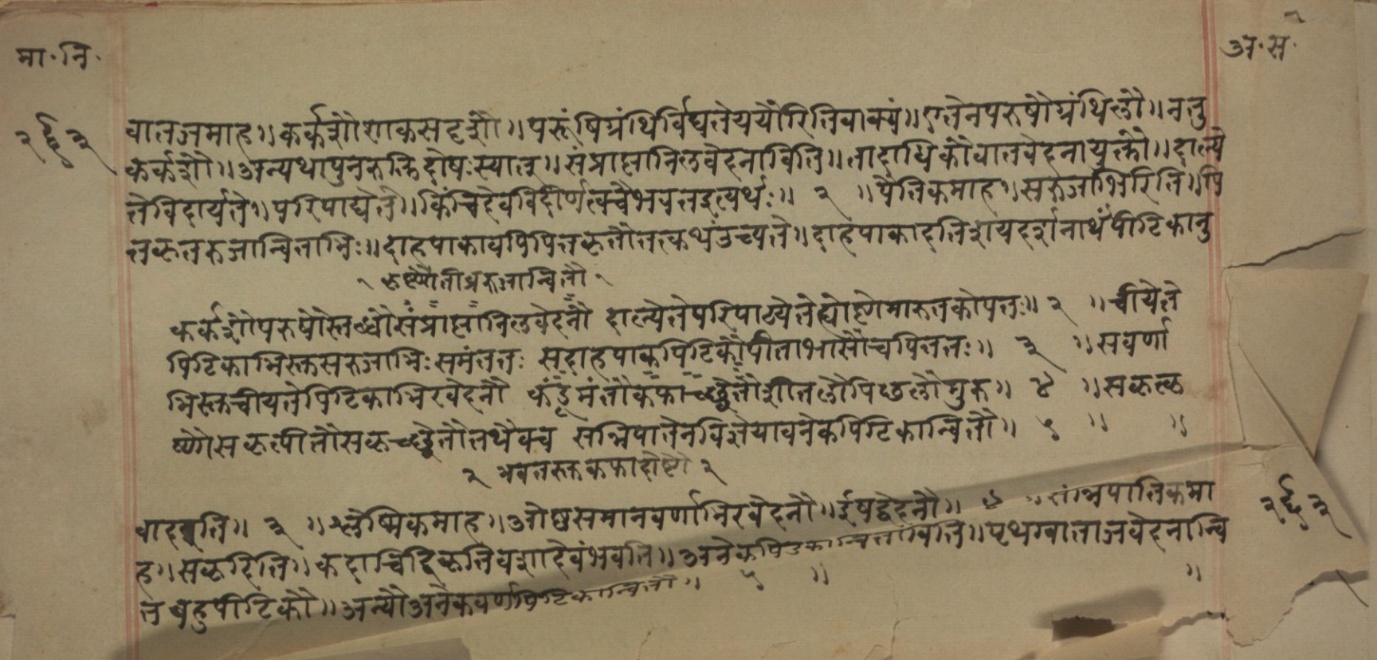 Mādhavanidāna (2), page 141