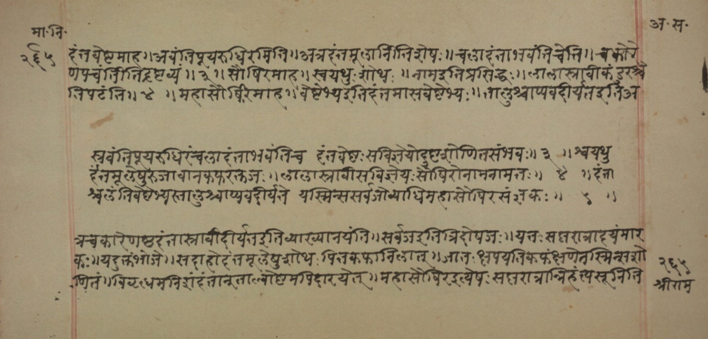 Mādhavanidāna (2), page 145