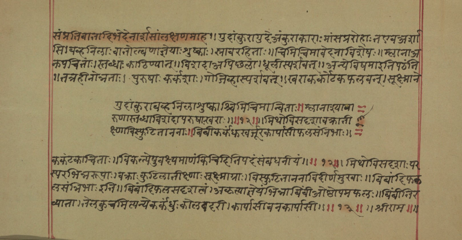 Mādhavanidāna (2), page 15