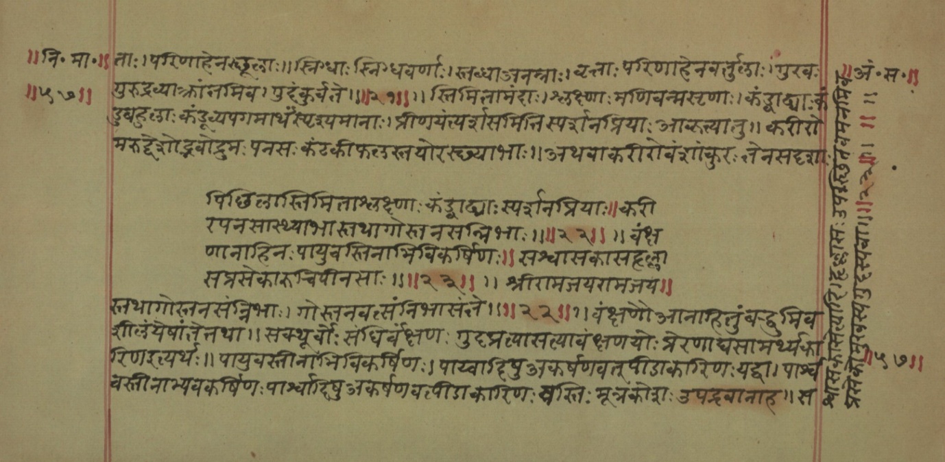 Mādhavanidāna (2), page 16