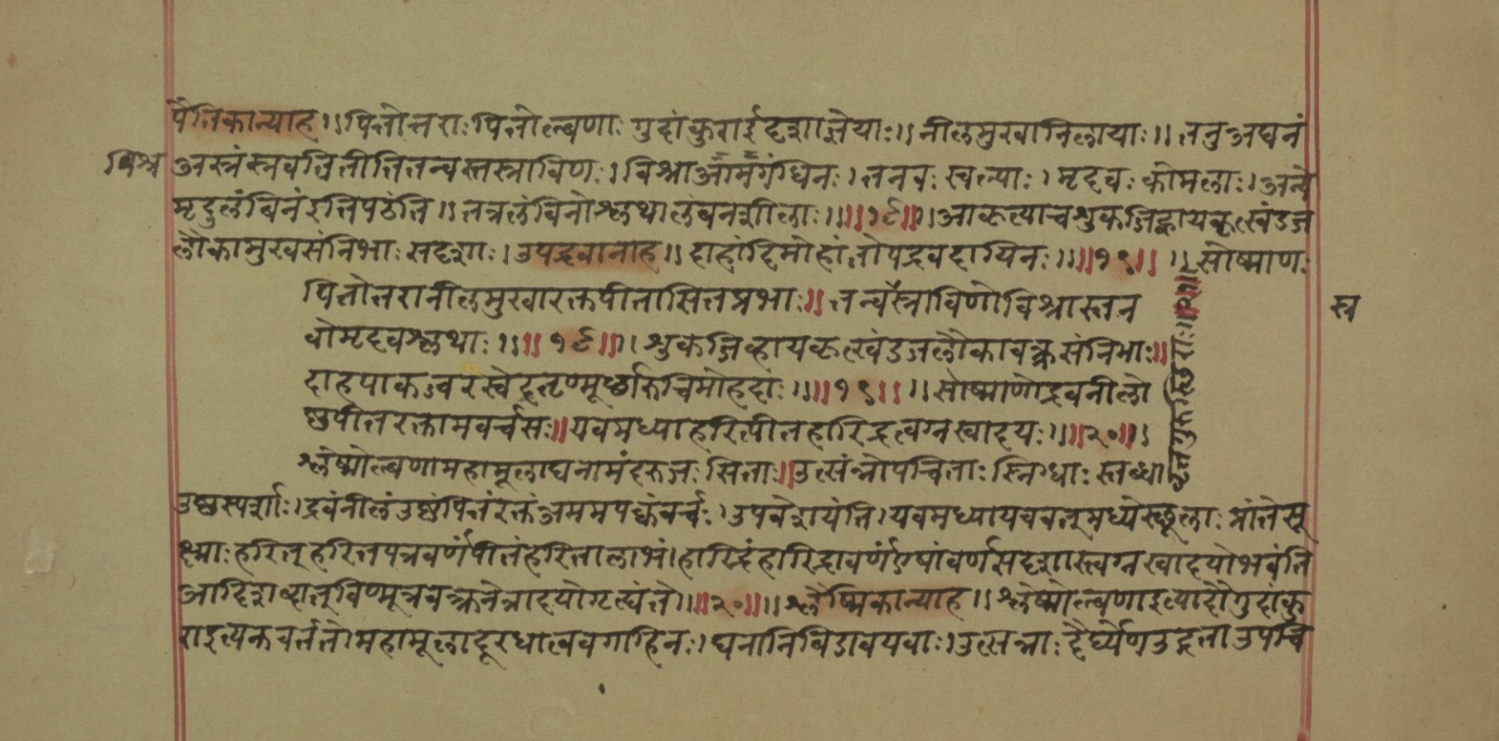 Mādhavanidāna (2), page 17