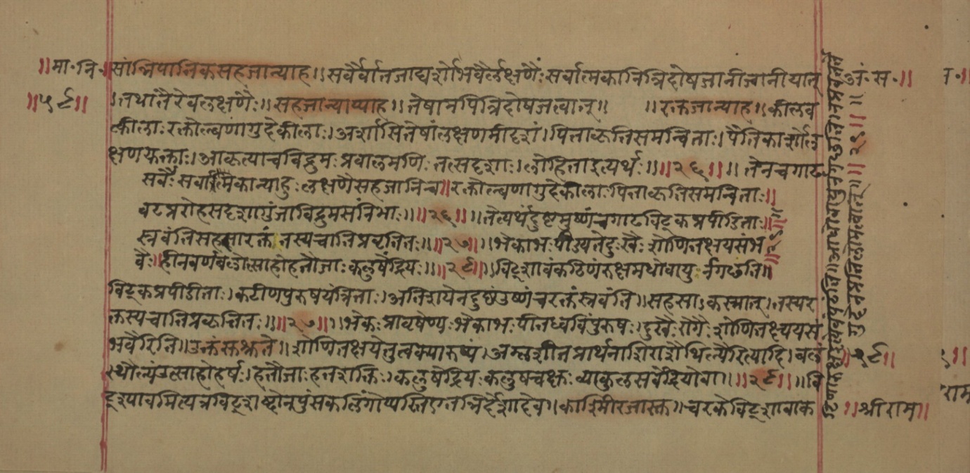 Mādhavanidāna (2), page 18