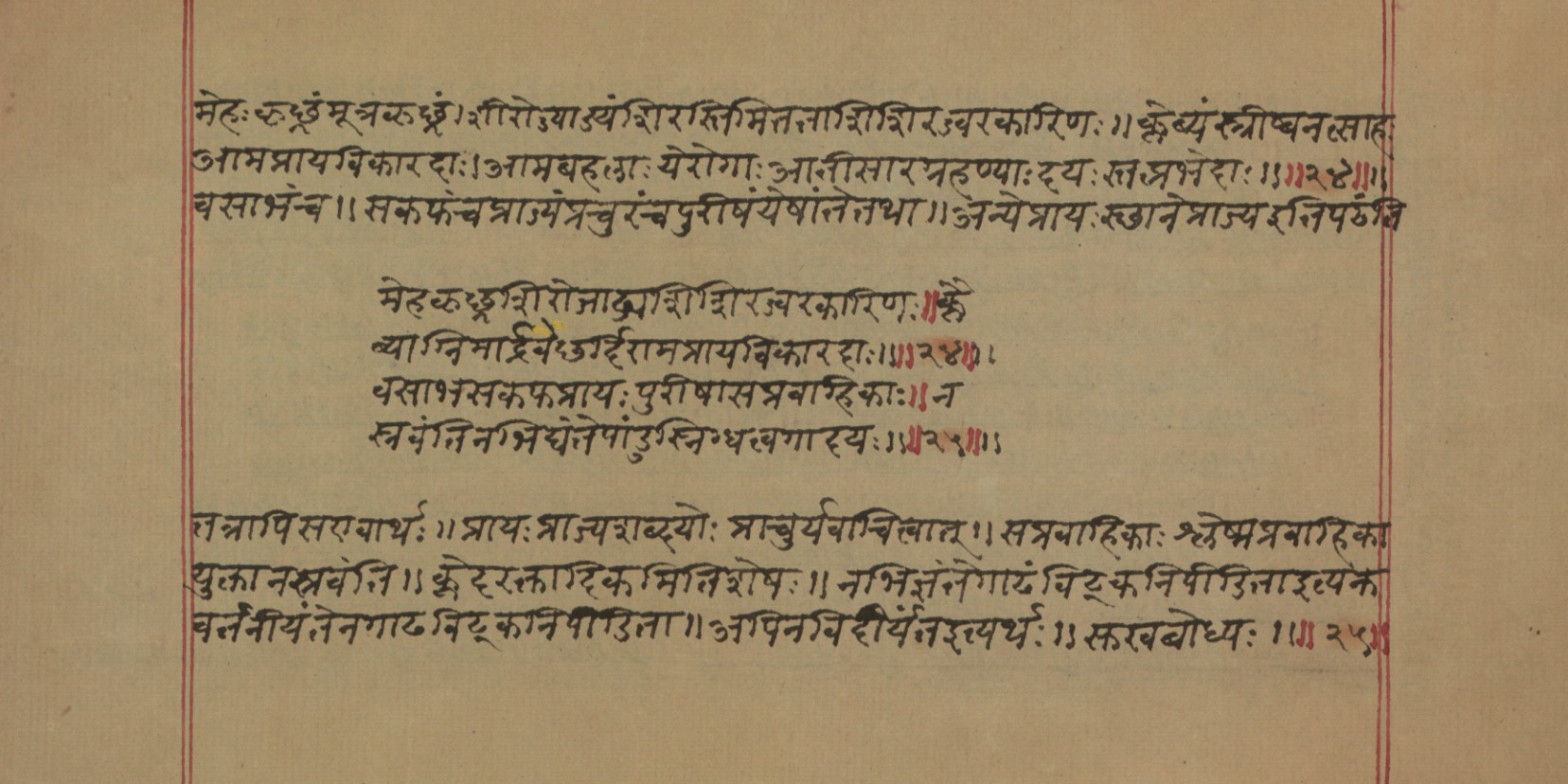Mādhavanidāna (2), page 19