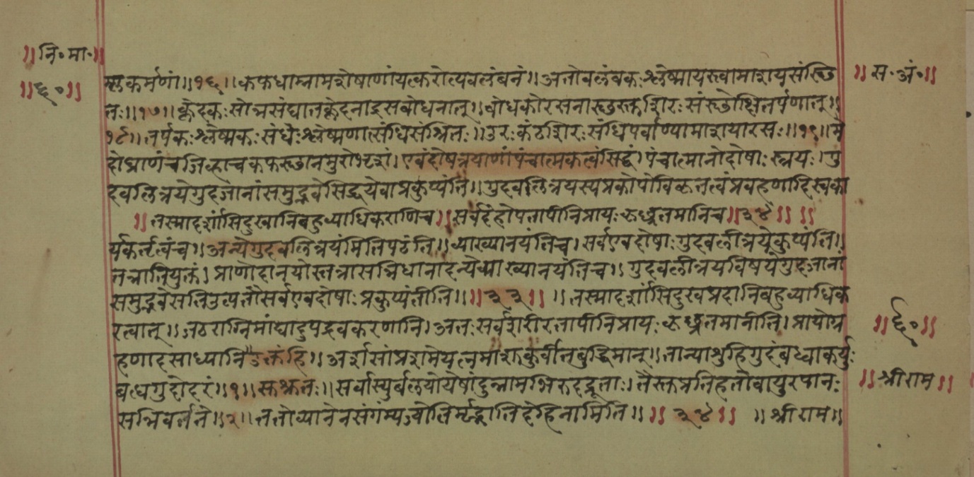 Mādhavanidāna (2), page 22