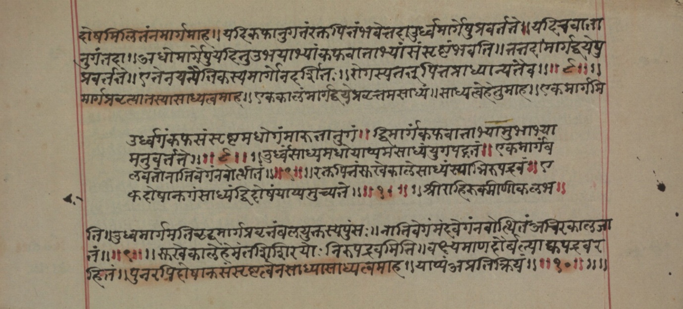 Mādhavanidāna (2), page 25