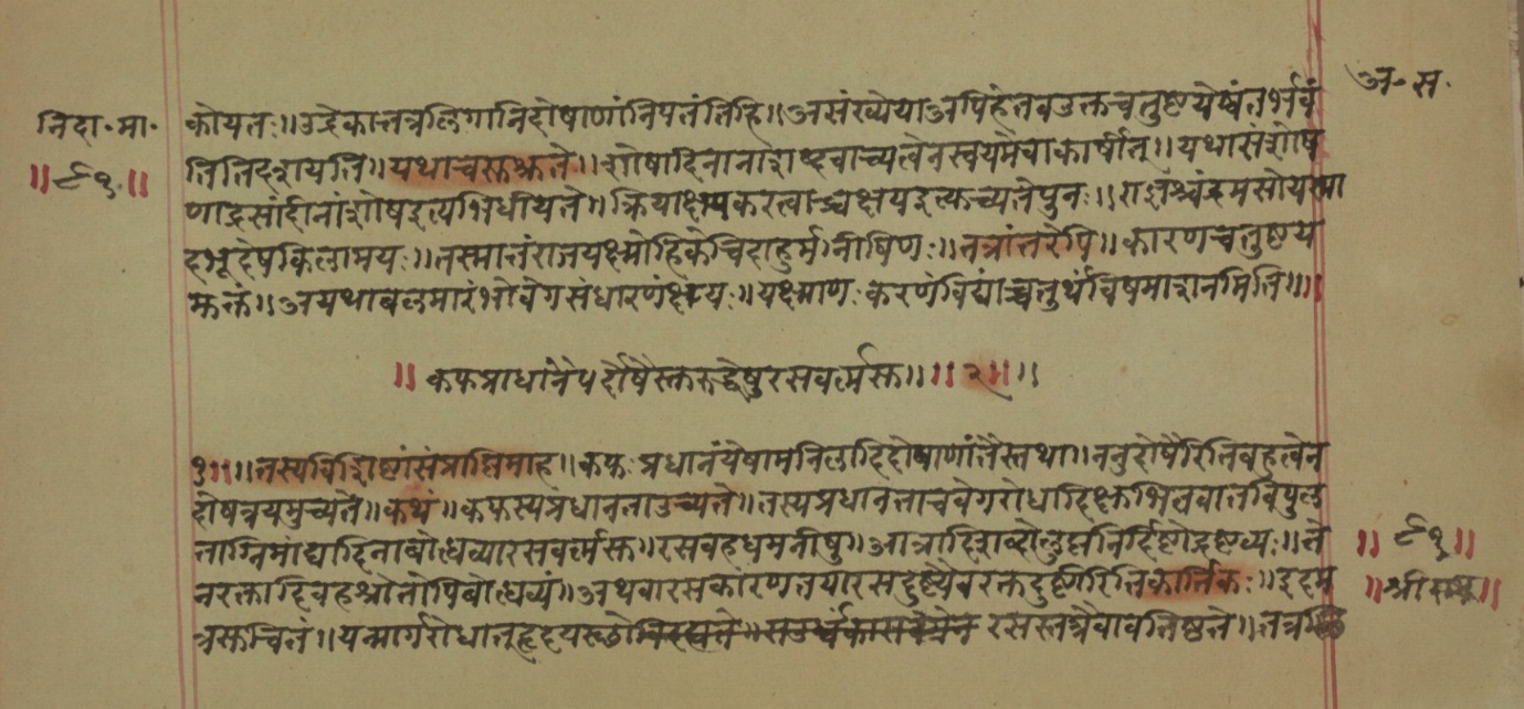 Mādhavanidāna (2), page 27