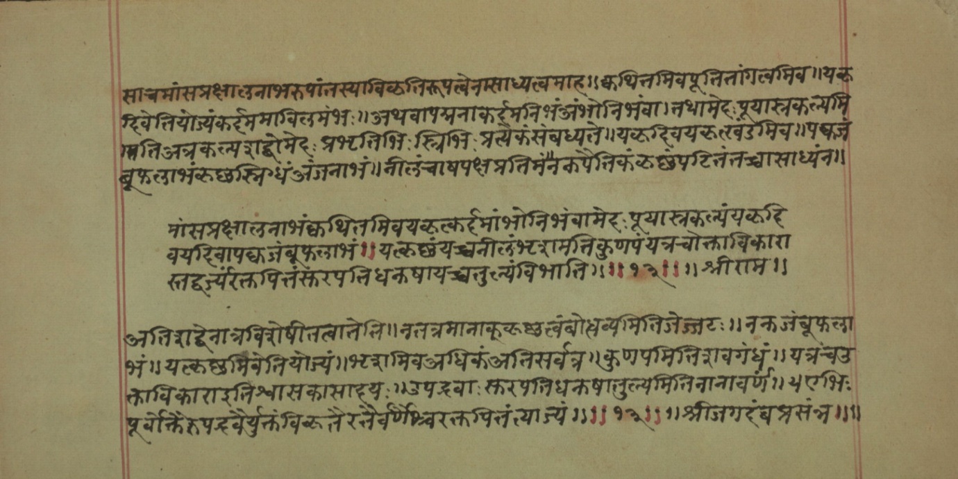 Mādhavanidāna (2), page 28