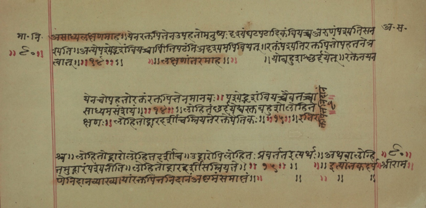Mādhavanidāna (2), page 29