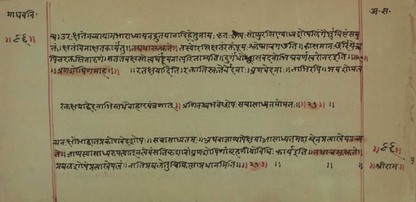 Mādhavanidāna (2), page 30