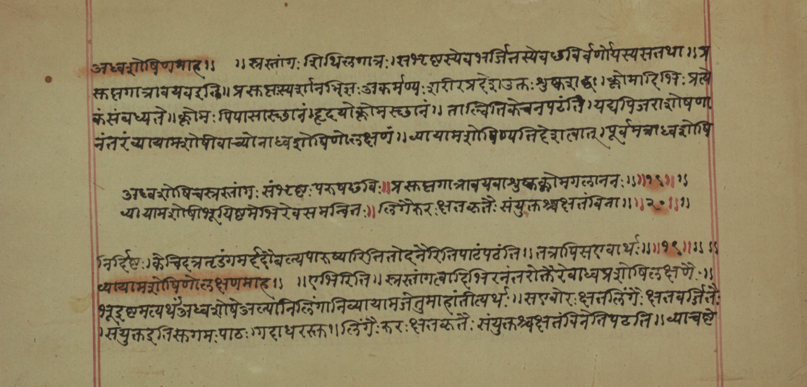 Mādhavanidāna (2), page 31